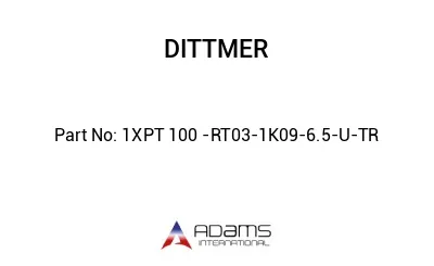 1XPT 100 -RT03-1K09-6.5-U-TR