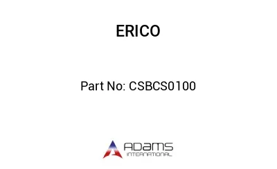 CSBCS0100