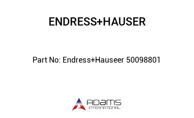 Endress+Hauseer 50098801