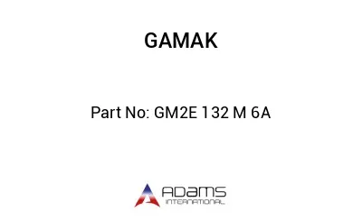 GM2E 132 M 6A