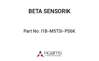 I1B-M5TSI-PS6K