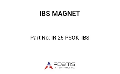 IR 25 PSOK-IBS