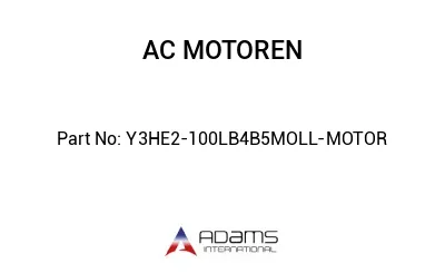 Y3HE2-100LB4B5MOLL-MOTOR